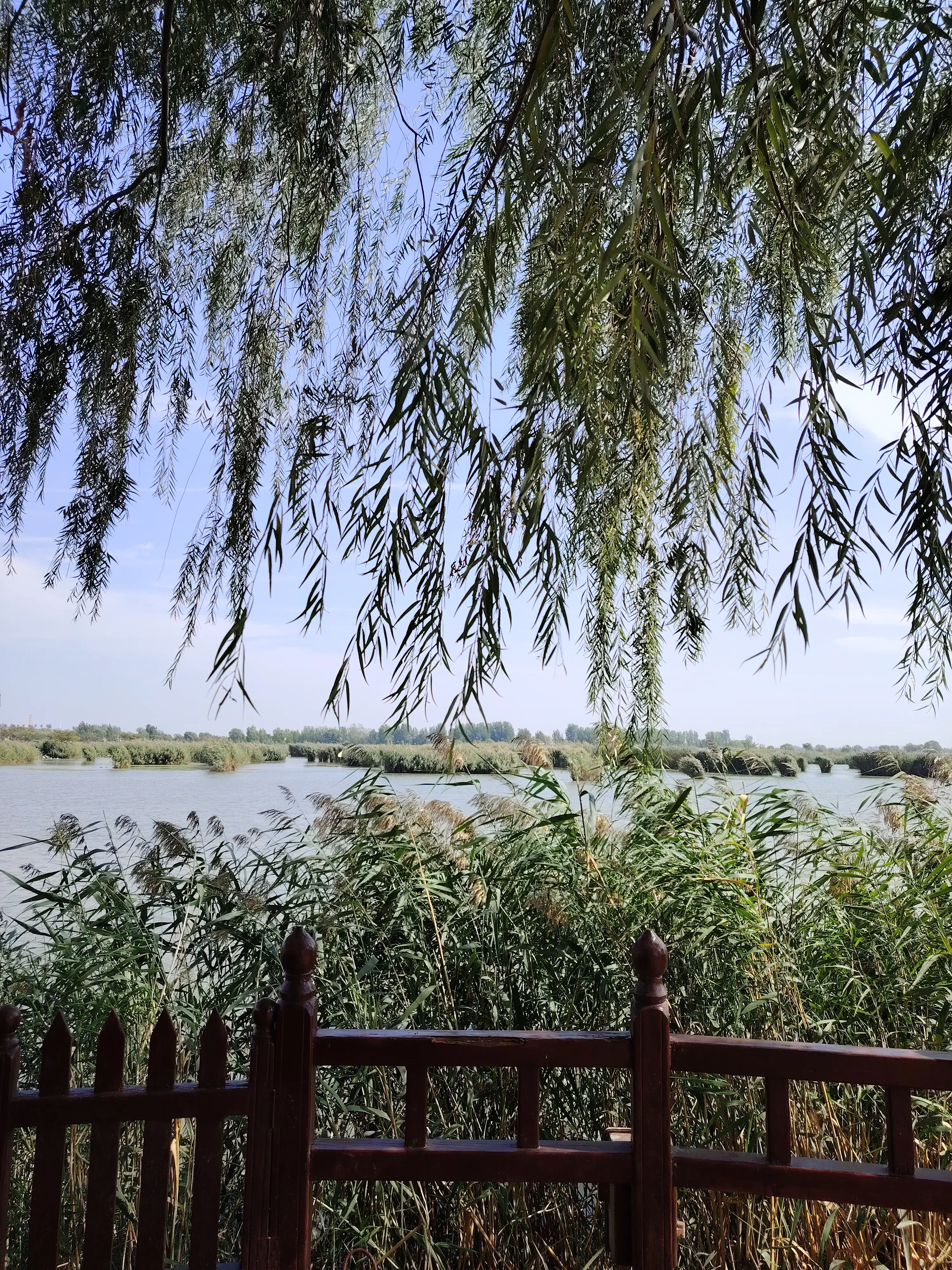 photo 20241004 131624