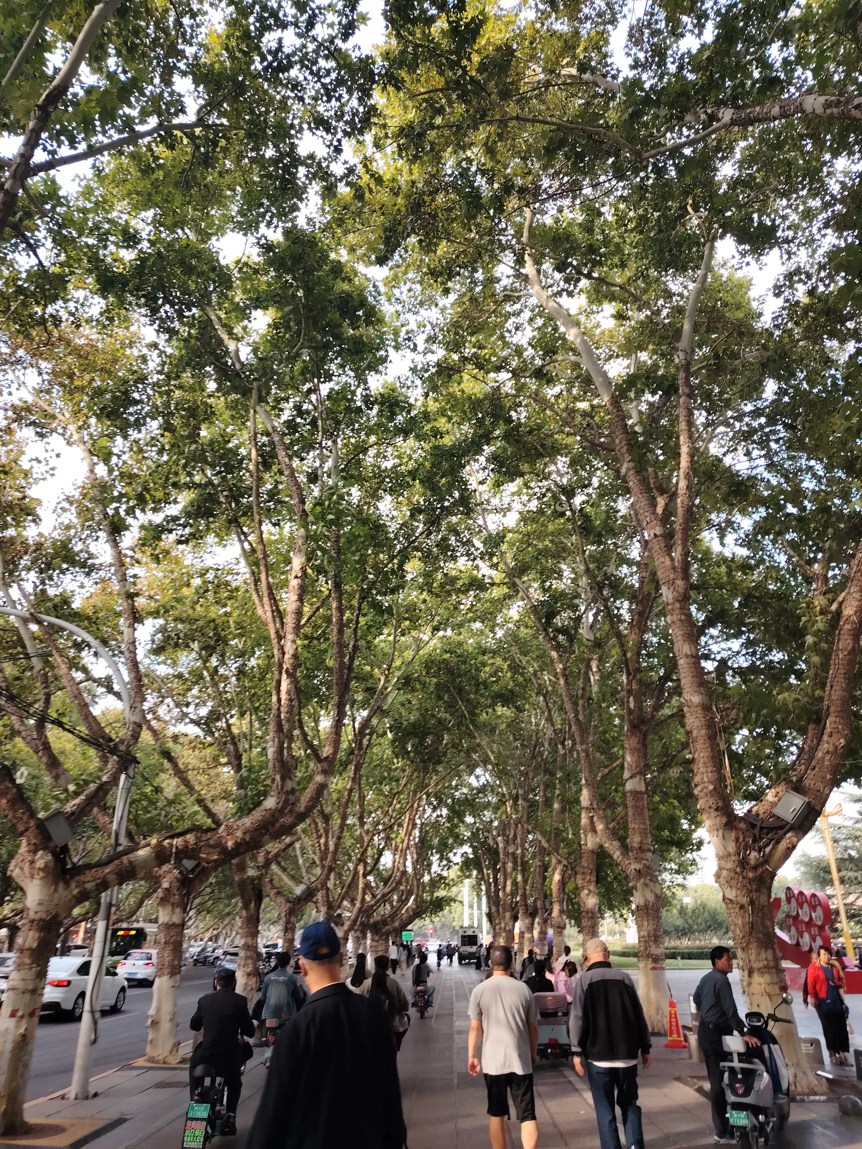 photo 20241004 153702