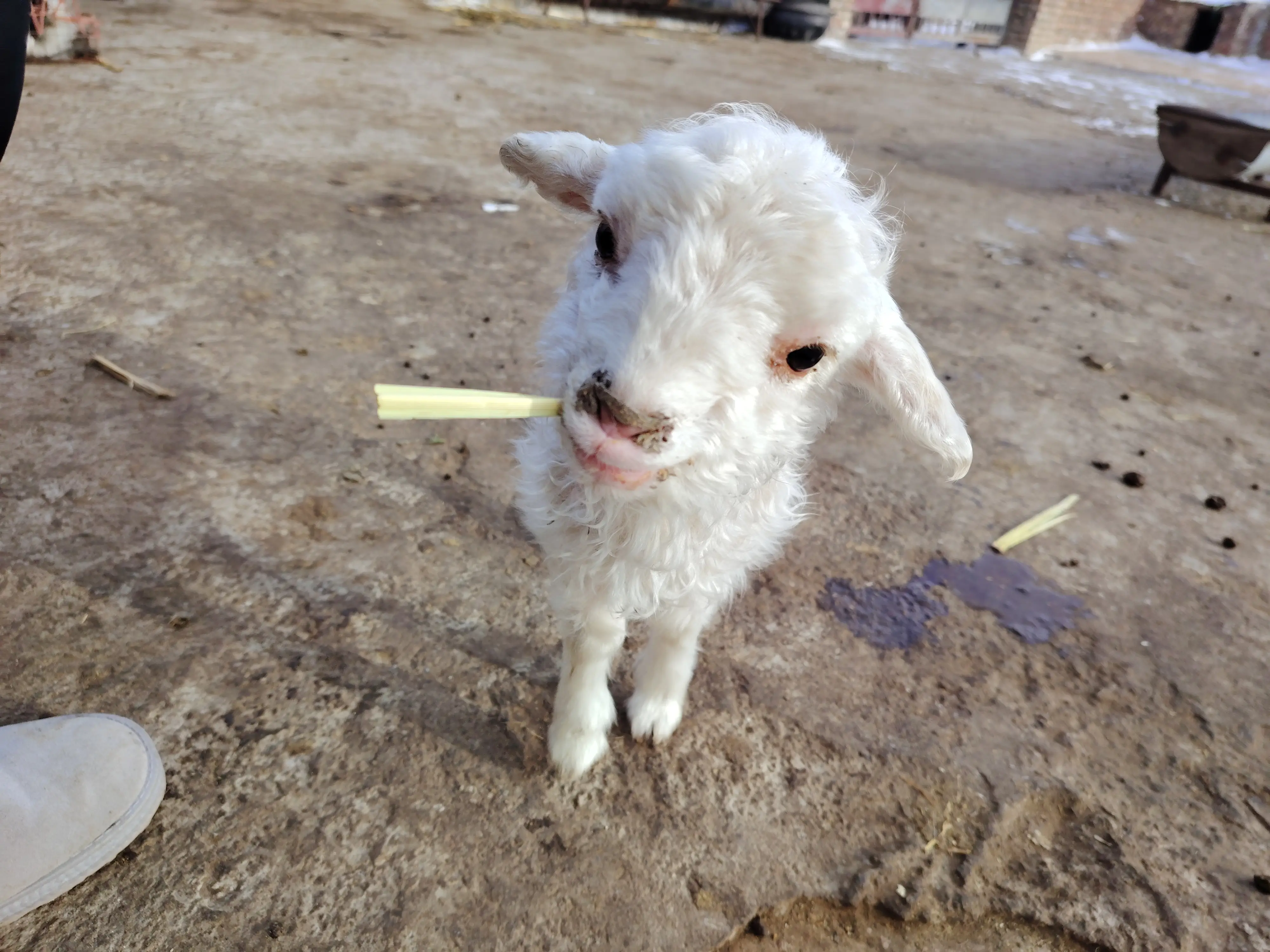 photo 20250113 145435