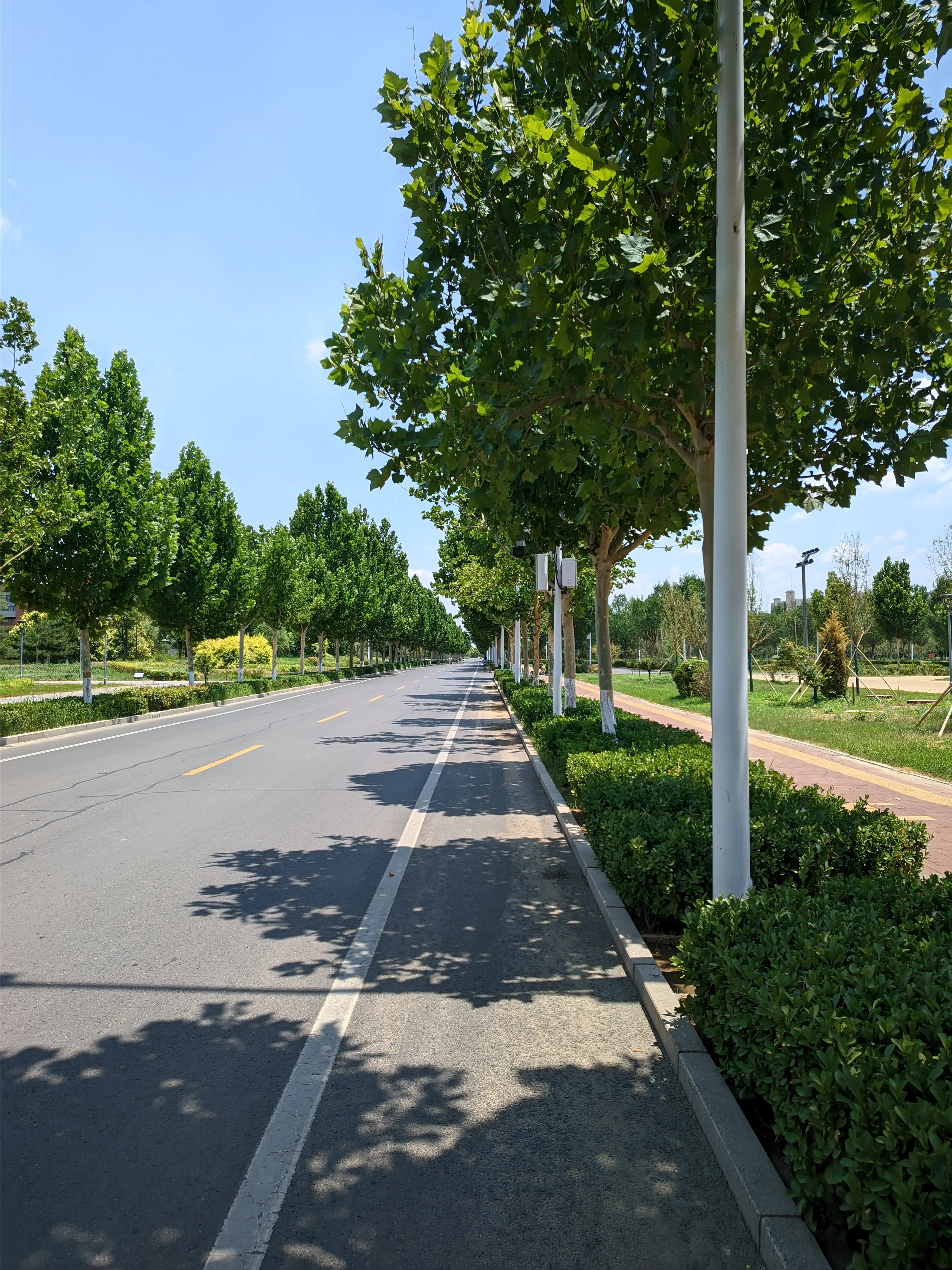 photo 20250621 122122