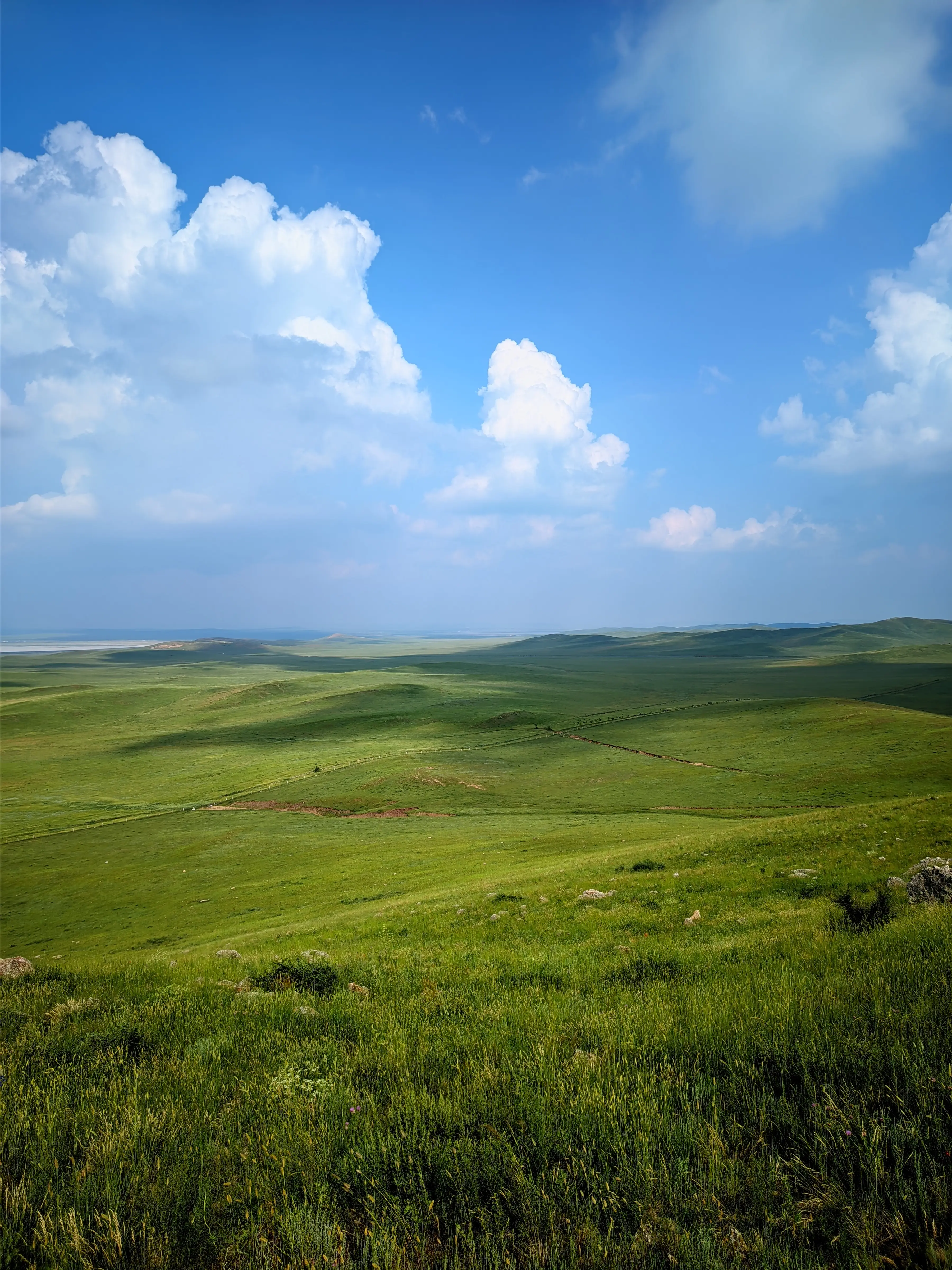 photo 20250711 160602