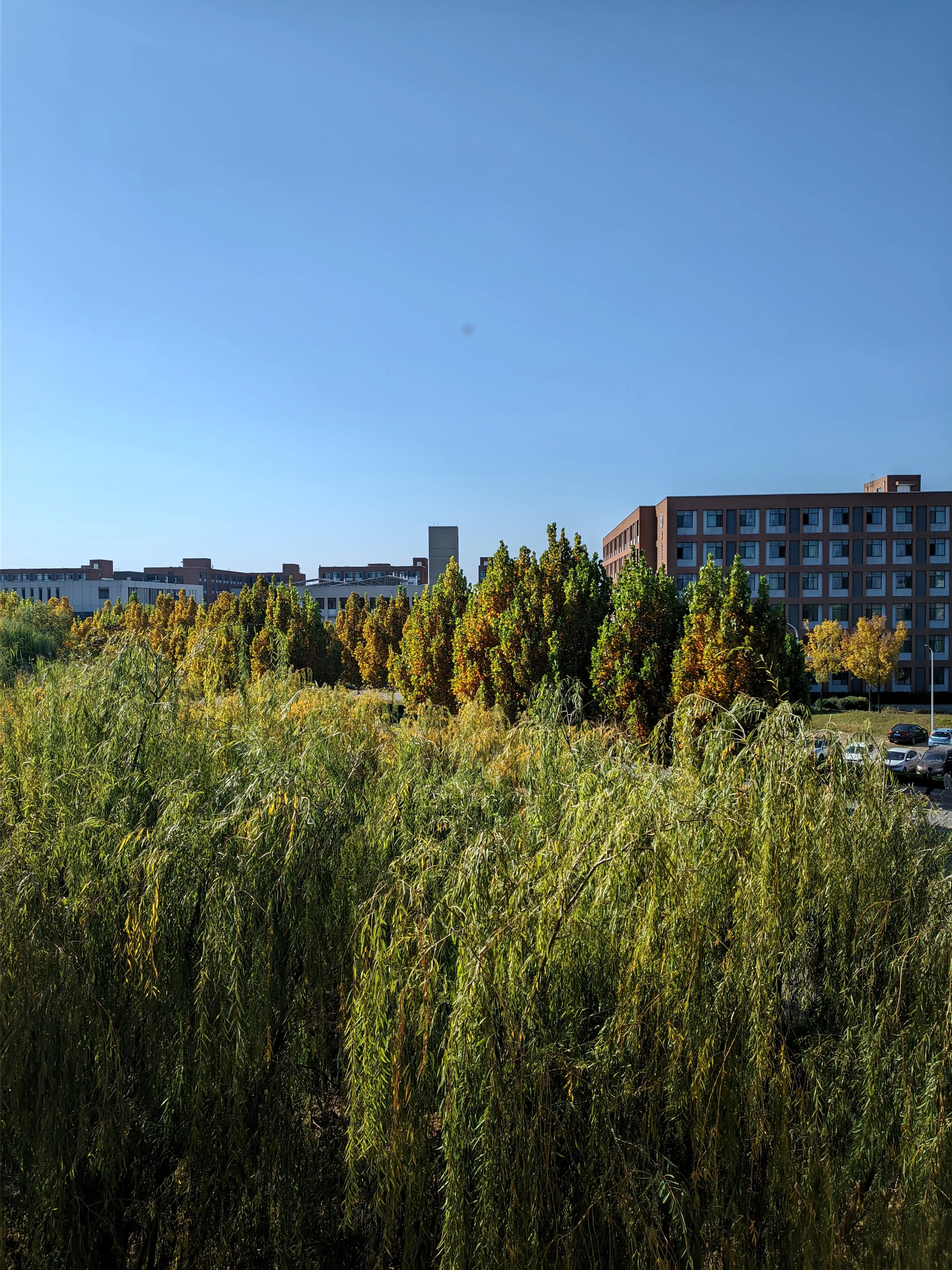 photo 20251102 134820